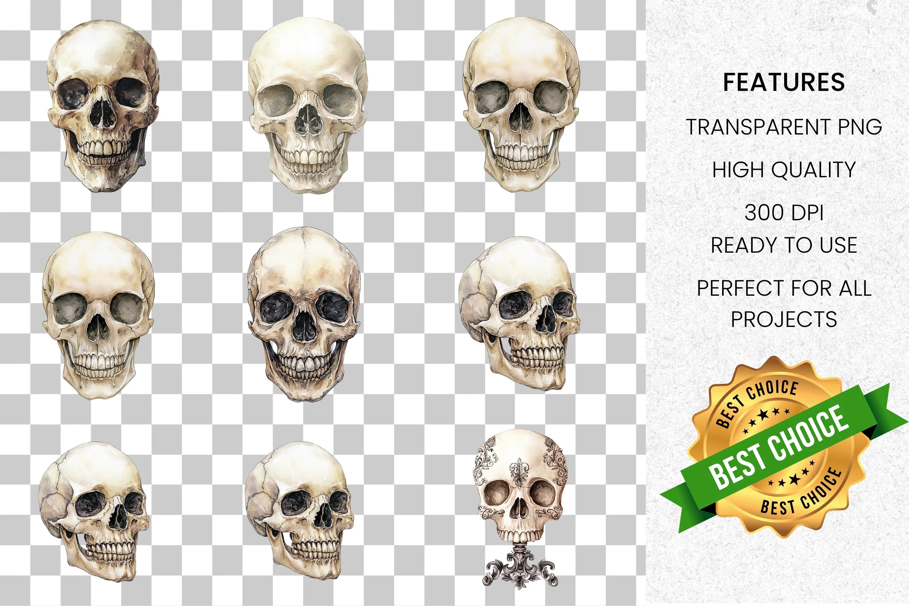 Realistic Skull Clipart Bundle