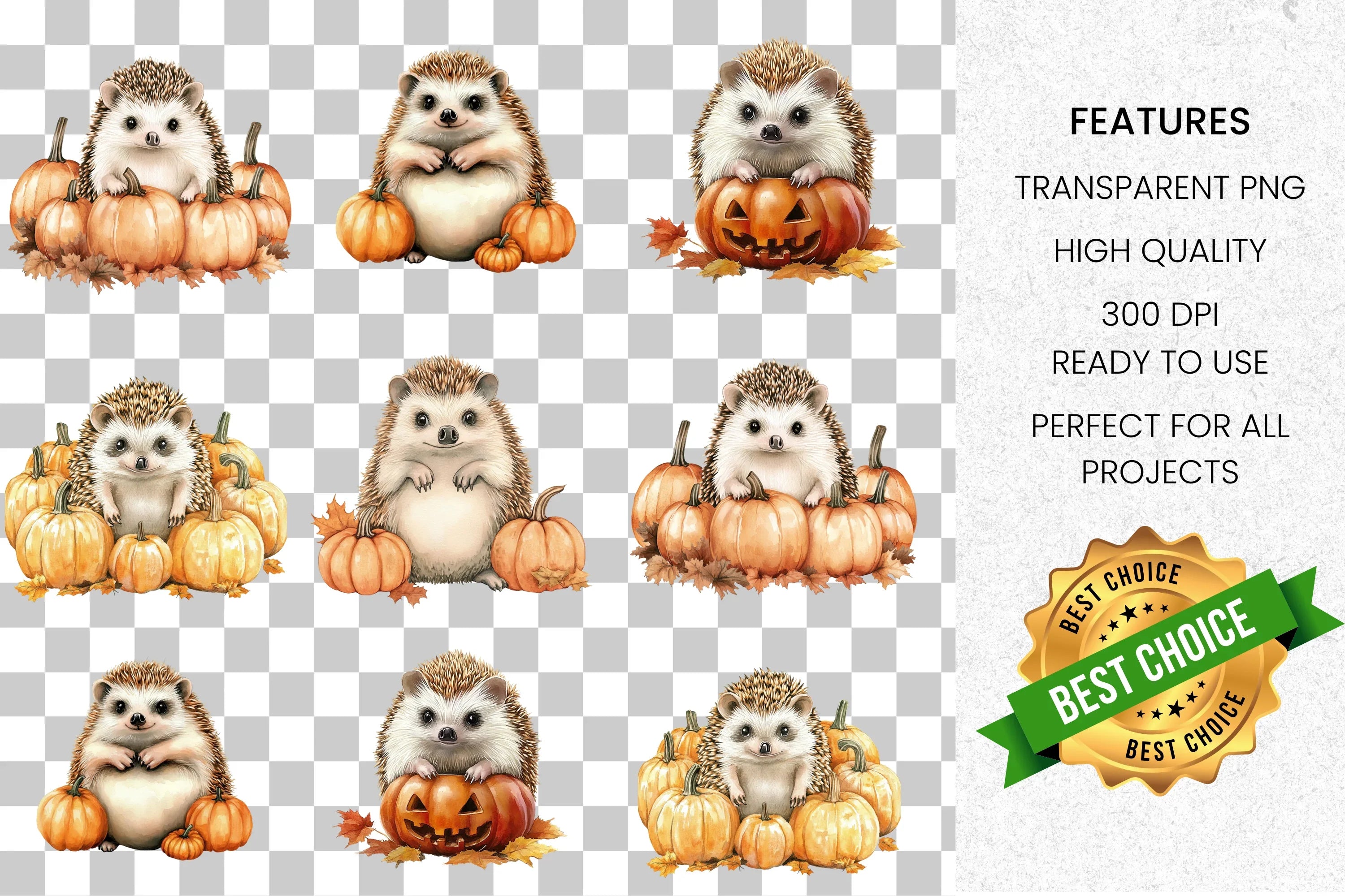 Cute Hedgehog Autumn Clipart Bundle