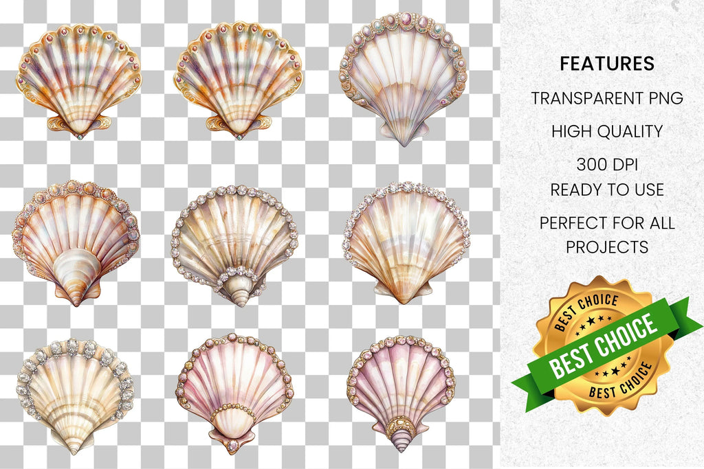 Beautiful Seashells Clipart Bundle