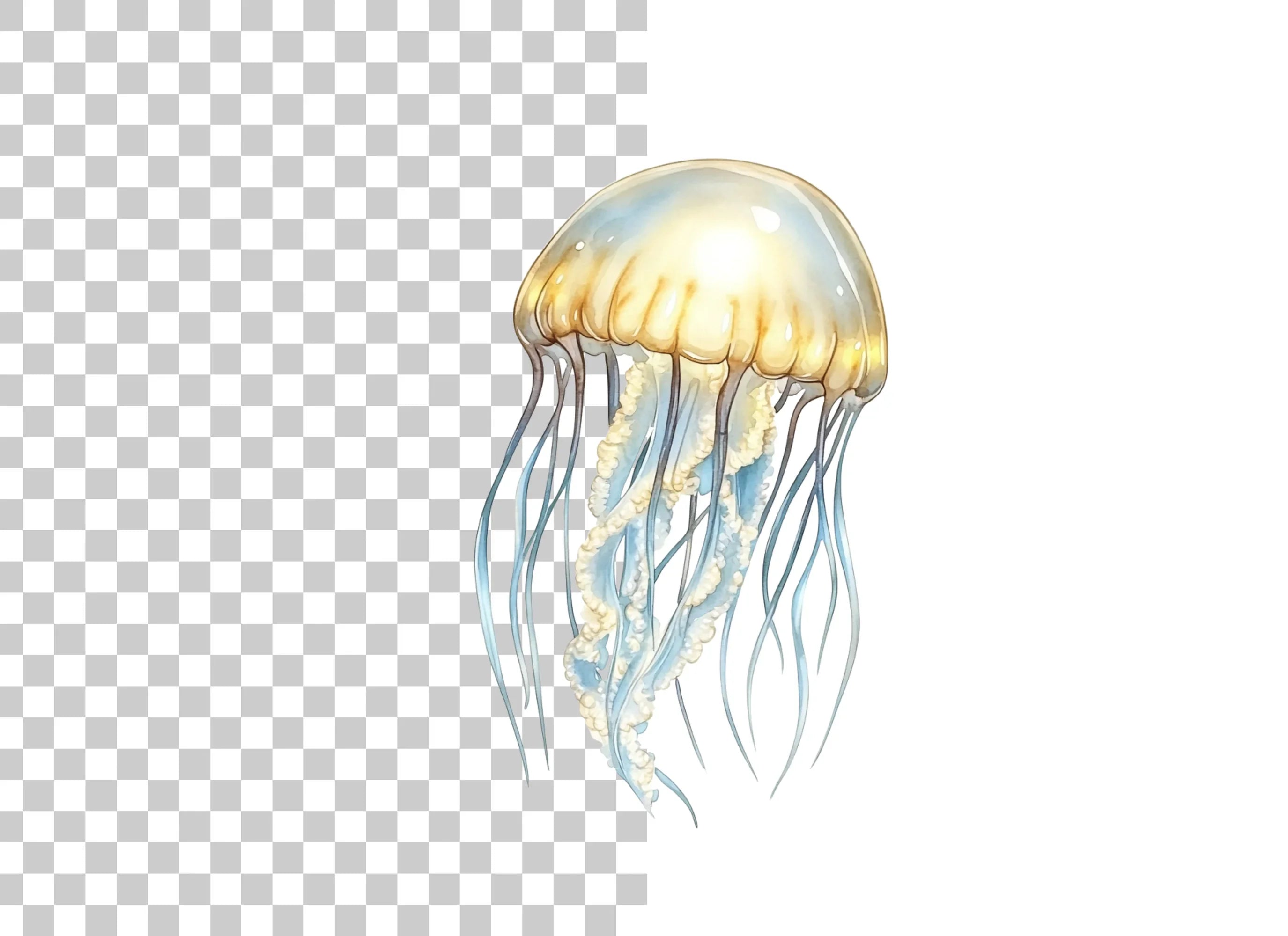 Graceful Jellyfish Clipart Bundle