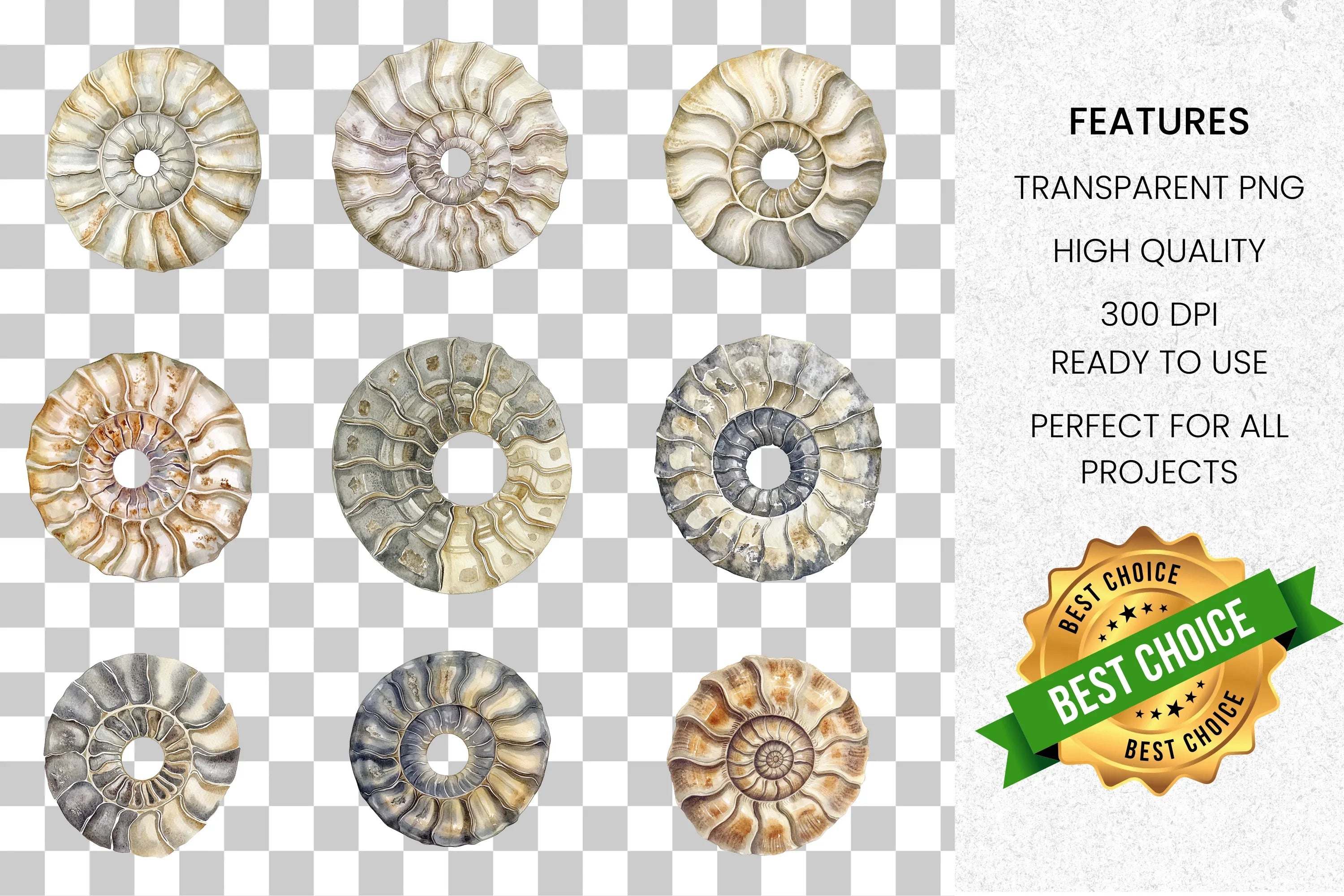 Ancient Ammonite Fossil Clipart Bundle