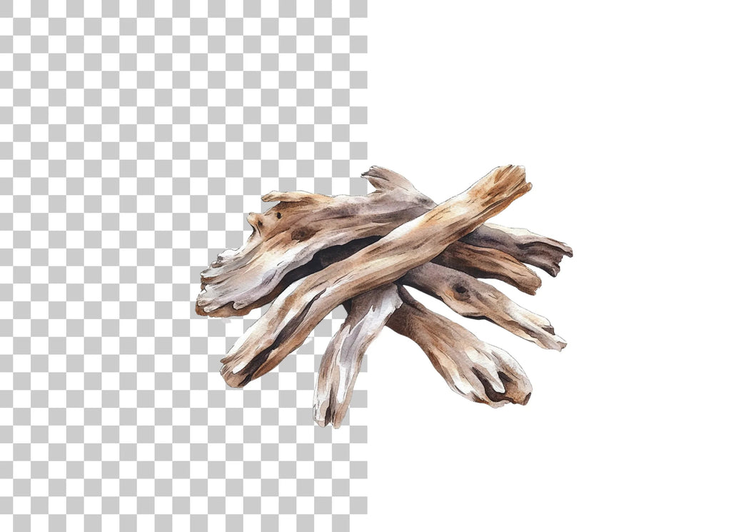 Driftwood Clipart Bundle