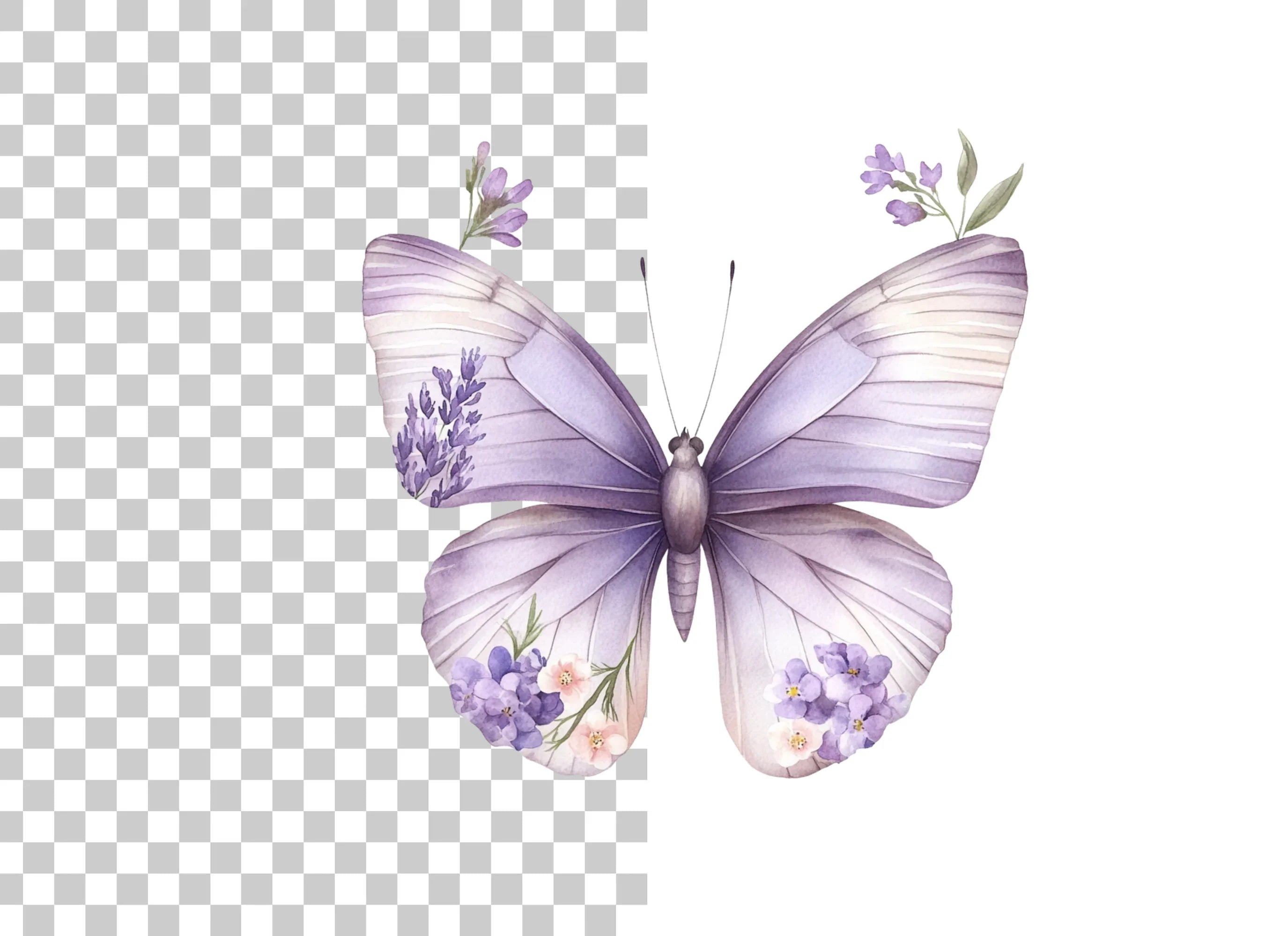 Butterfly Floral Wings Clipart Bundle