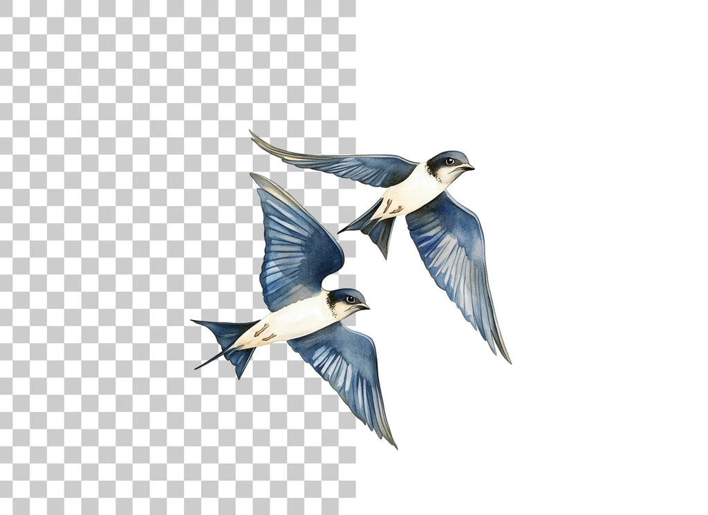 Flying Swallow Birds Clipart Bundle