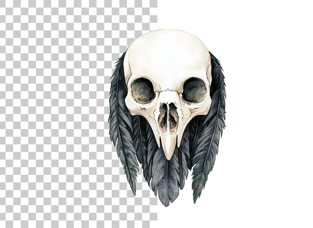 Bird Skull with Feathers Clipart Bundle