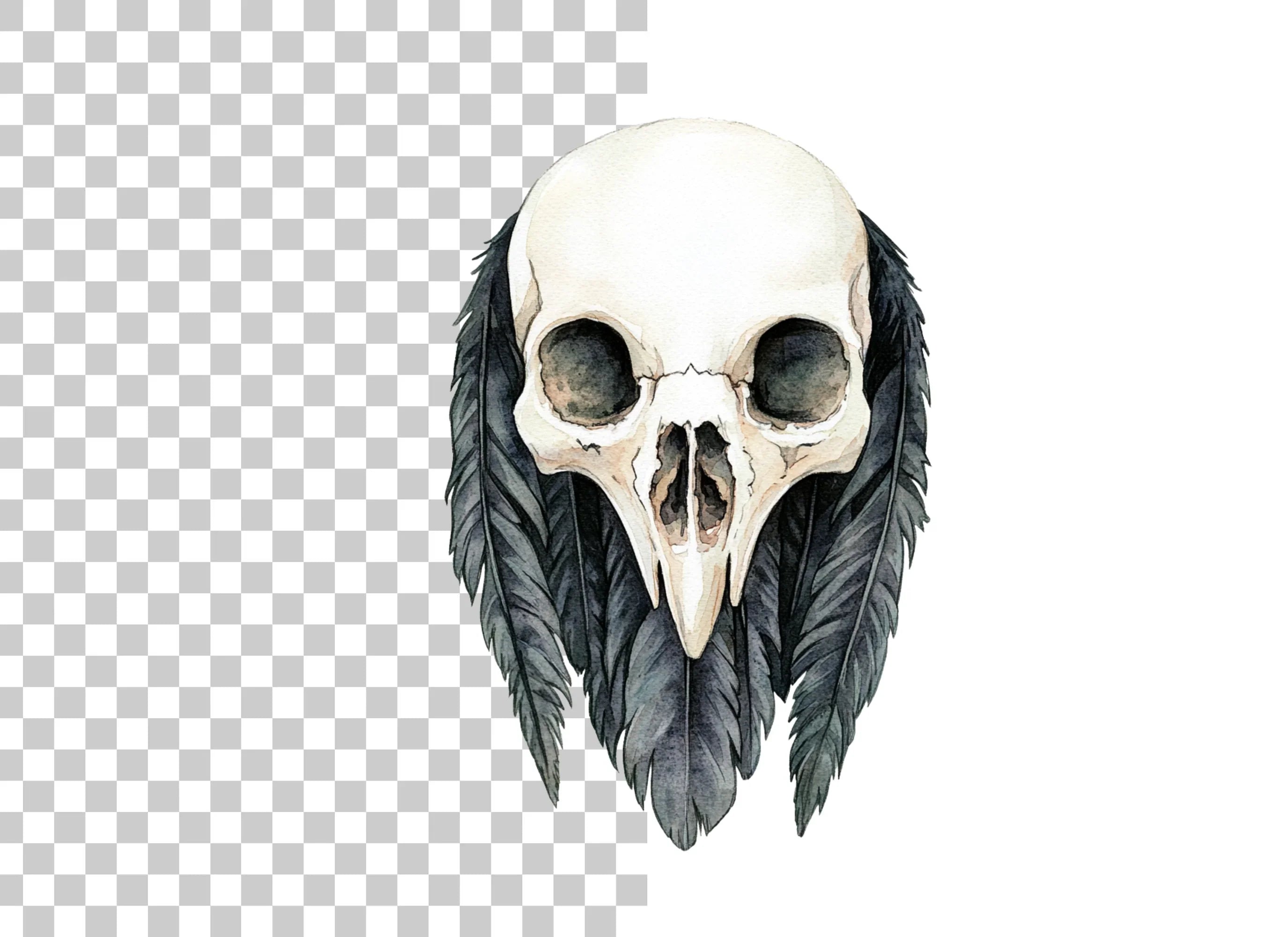 Bird Skull with Feathers Clipart Bundle