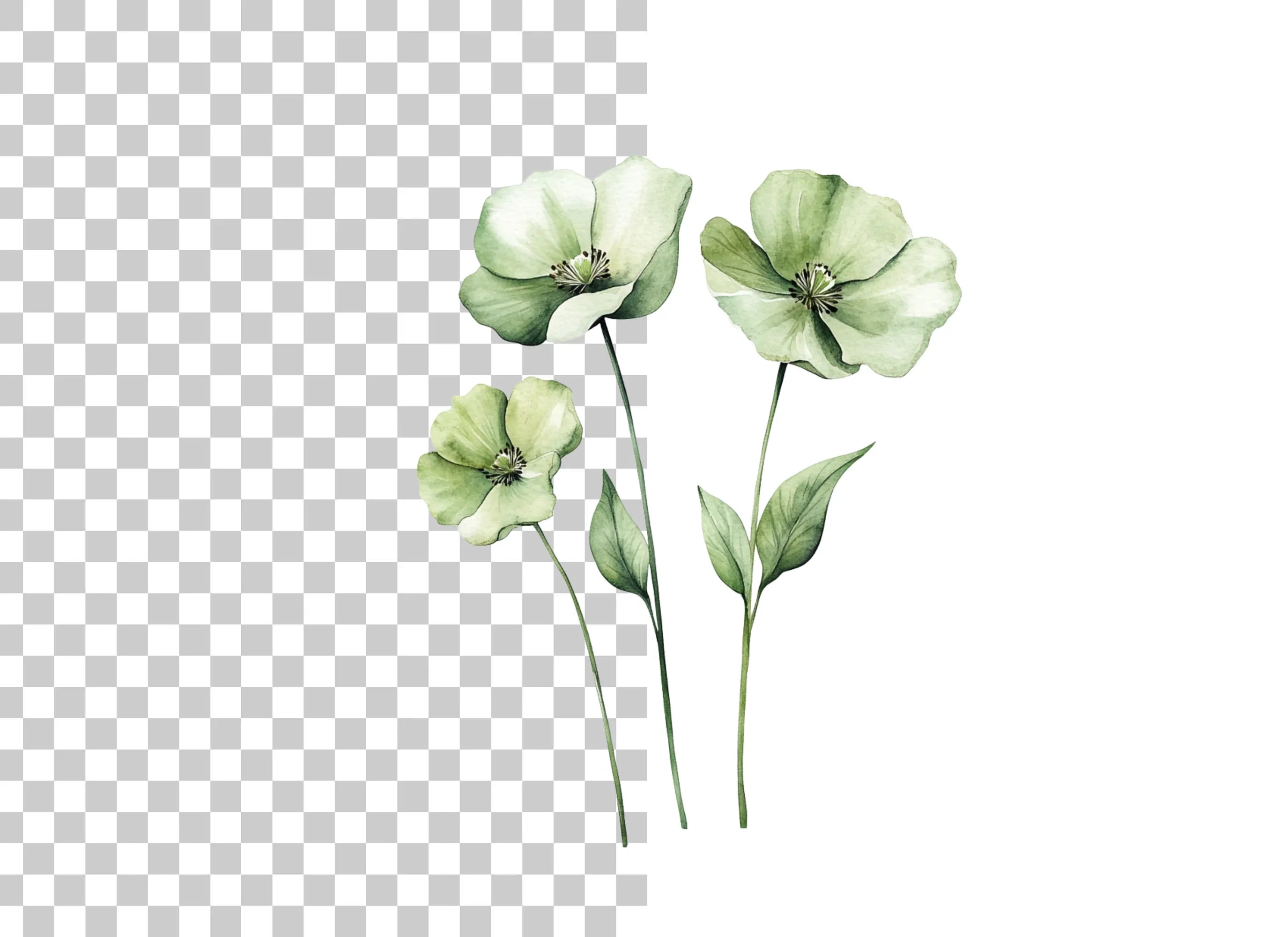 Green Floral Clipart Bundle