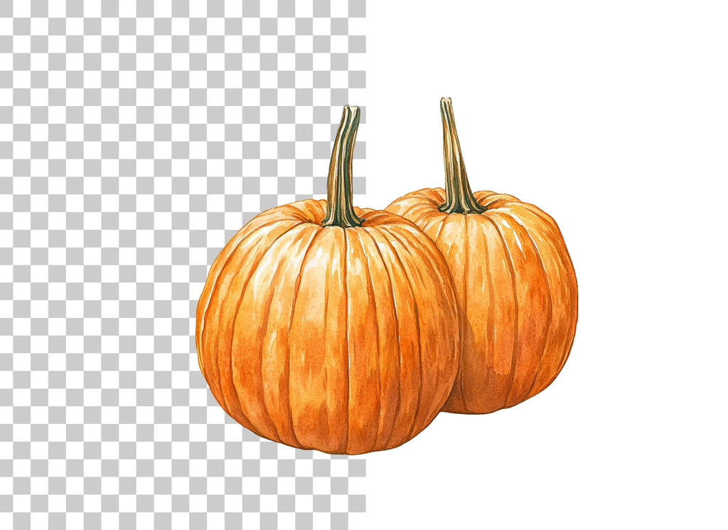 Autumn Harvest Pumpkin Clipart Bundle