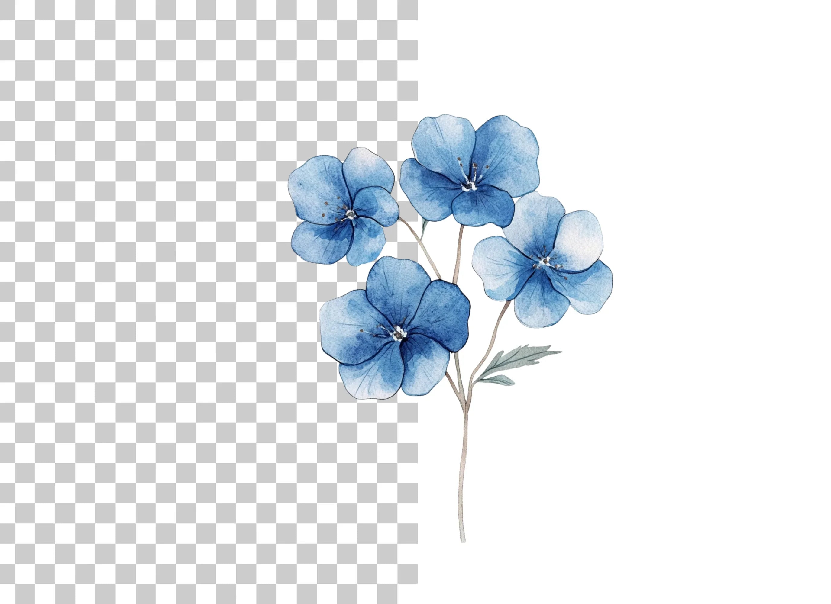 Blue Hydrangea Clipart Bundle