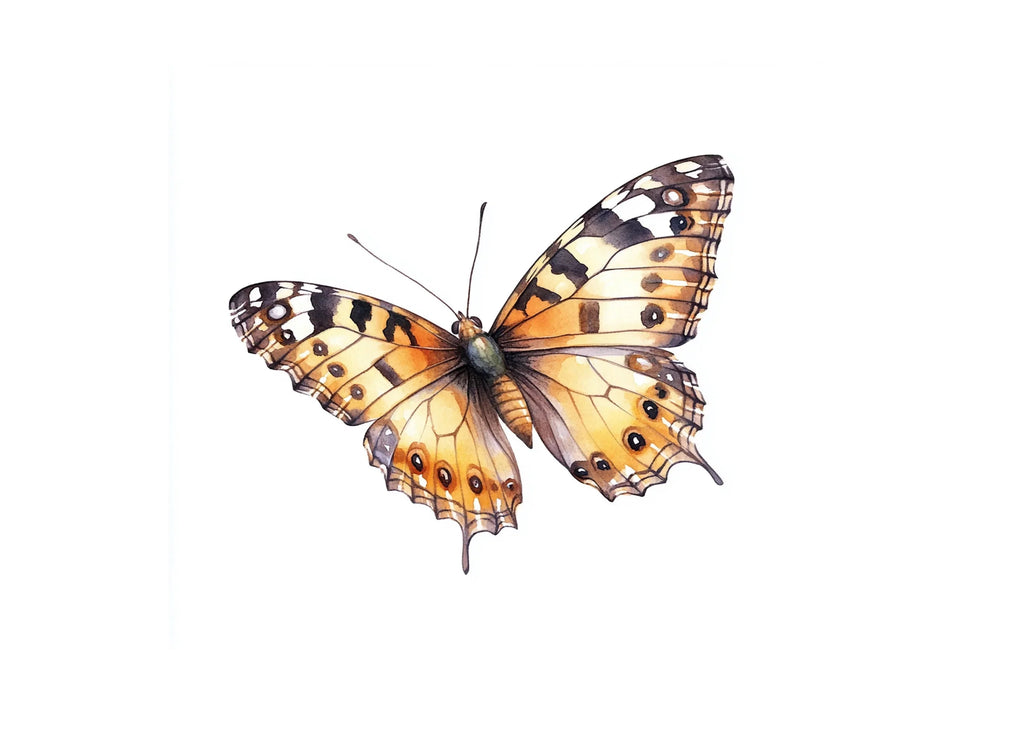 Painted Lady Butterfly Clipart Bundle