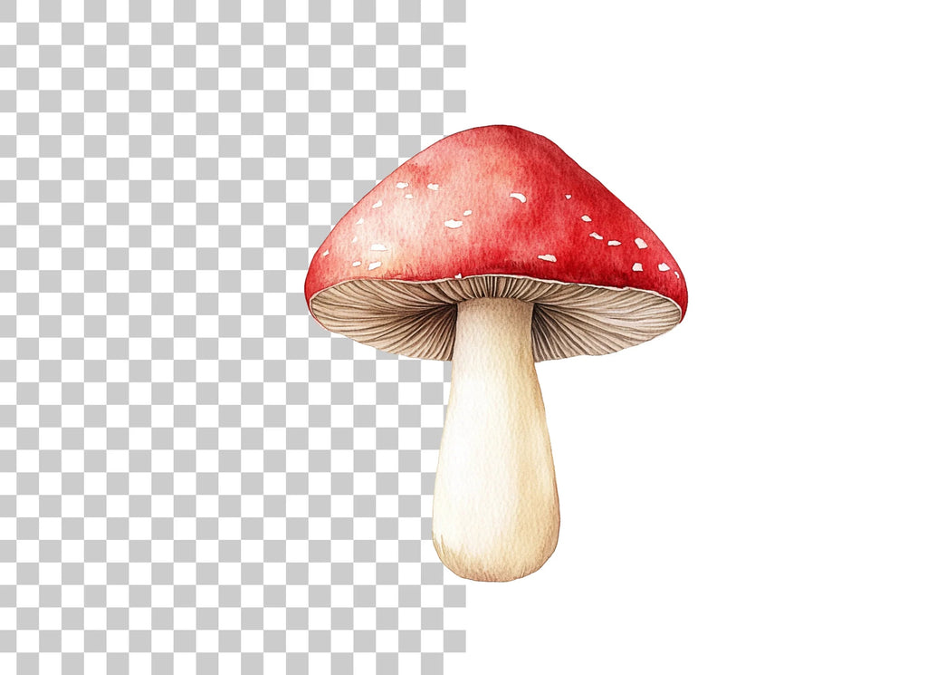 Red Mushroom Clipart Bundle