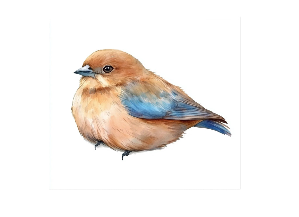 Charming Bluebird Clipart Bundle