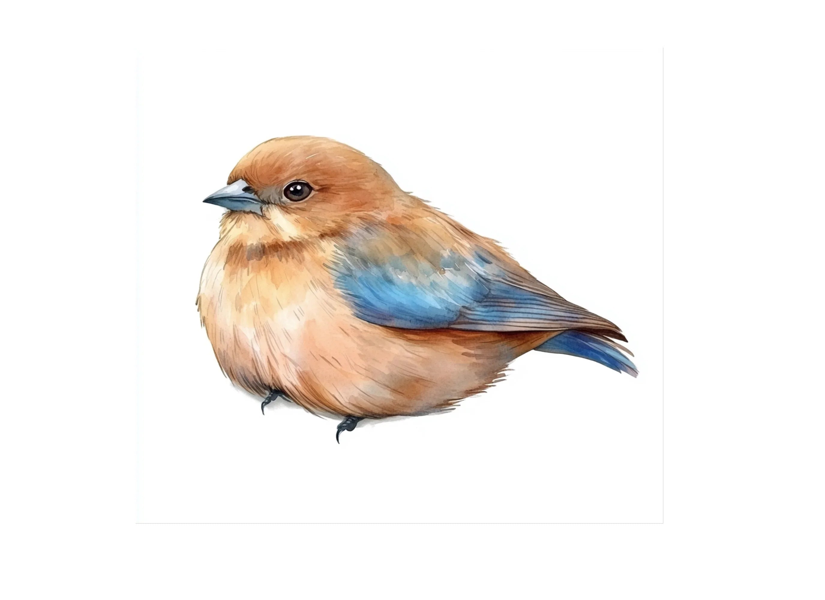 Charming Bluebird Clipart Bundle