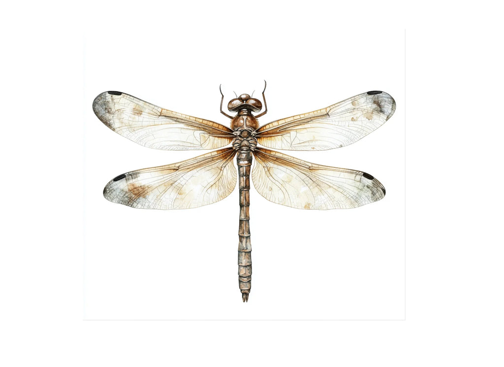Delicate Dragonfly Clipart Bundle