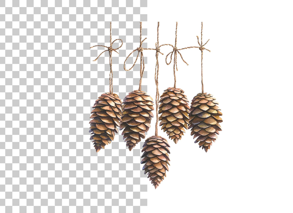 Hanging Pine Cones Clipart Bundle