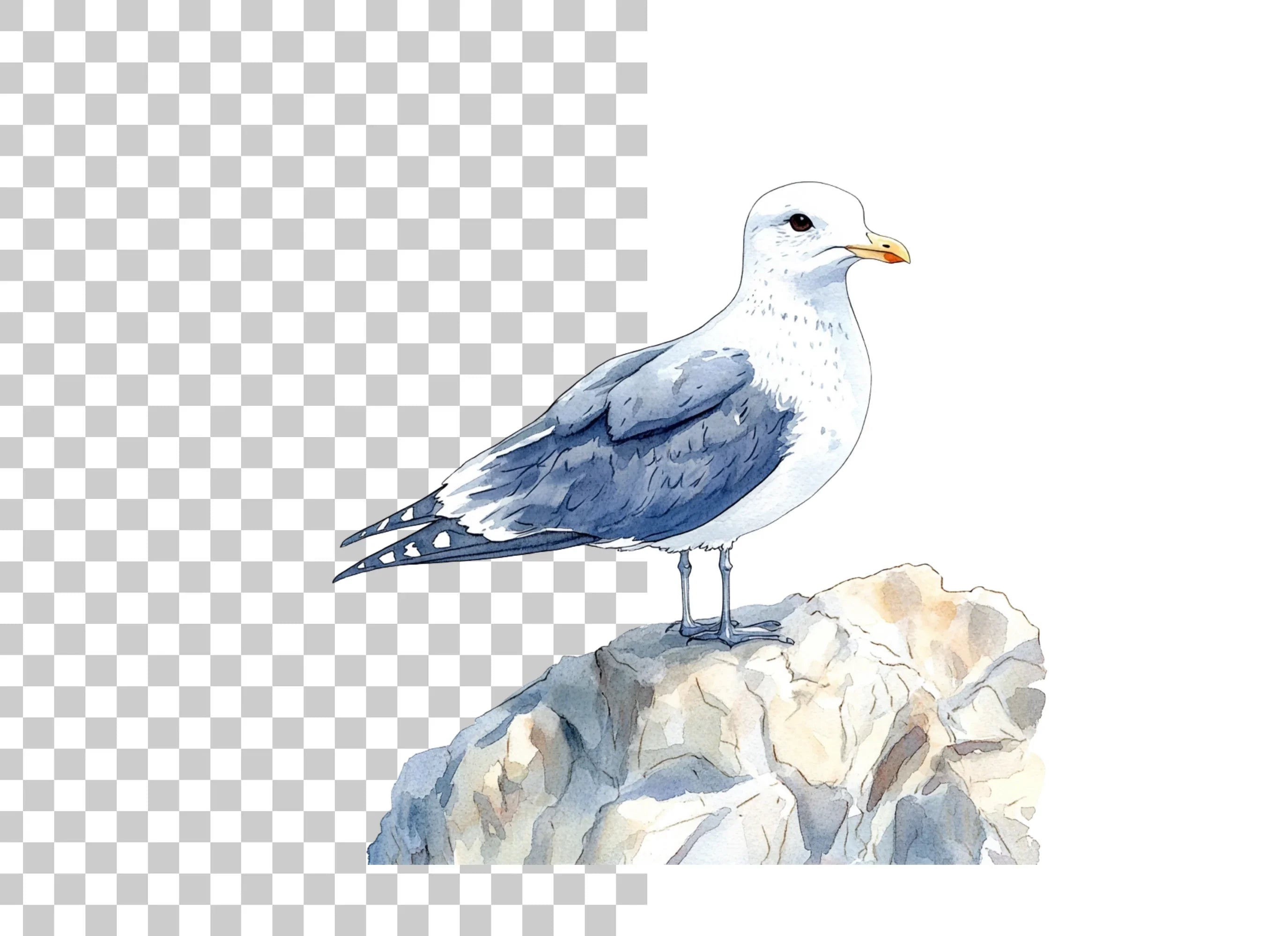Three Seagulls on Rocks Clipart Bundle