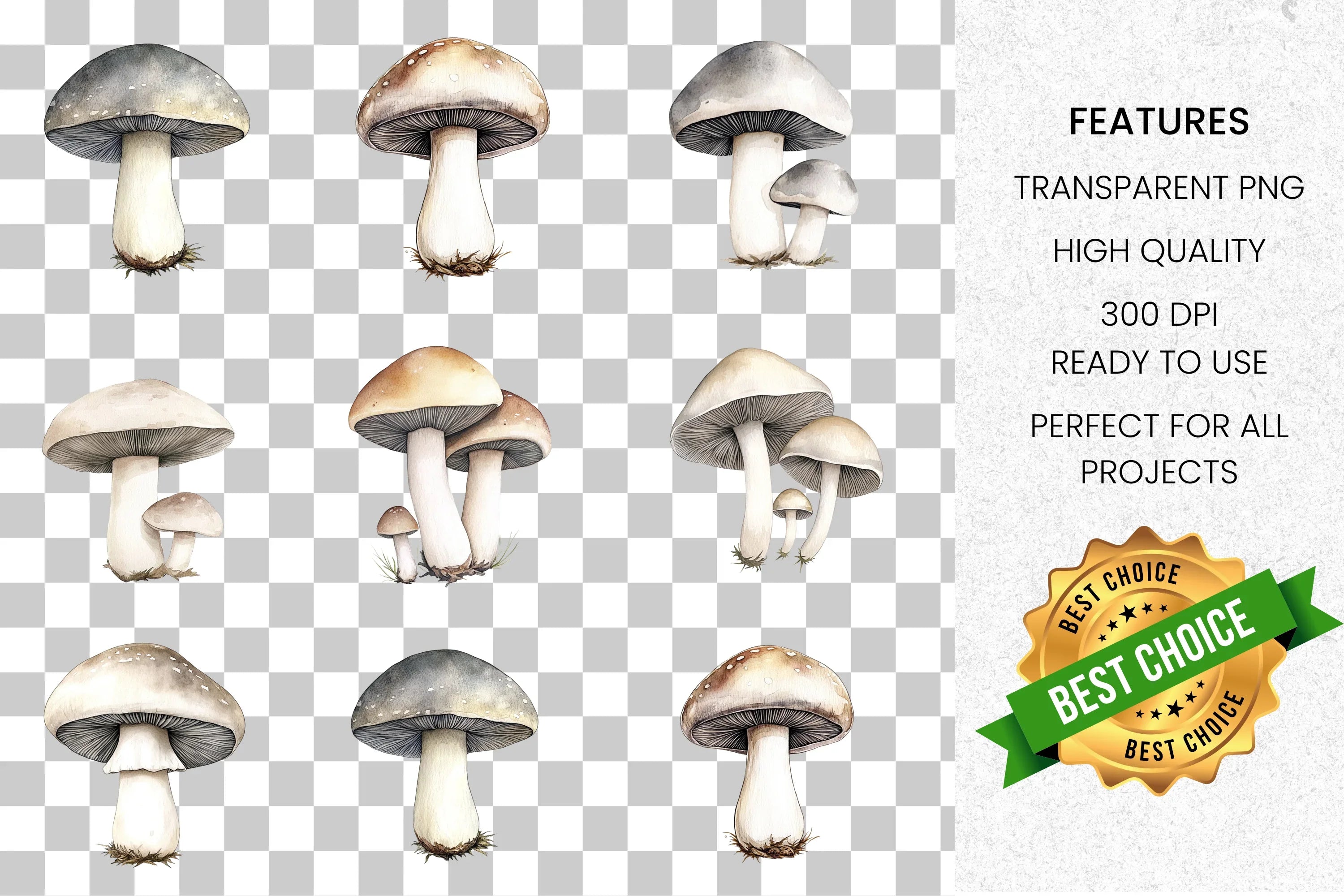 Forest Mushroom Clipart Bundle