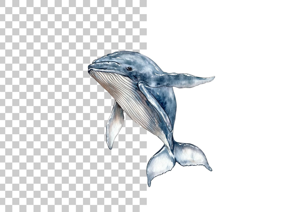 Humpback Whale Clipart Bundle