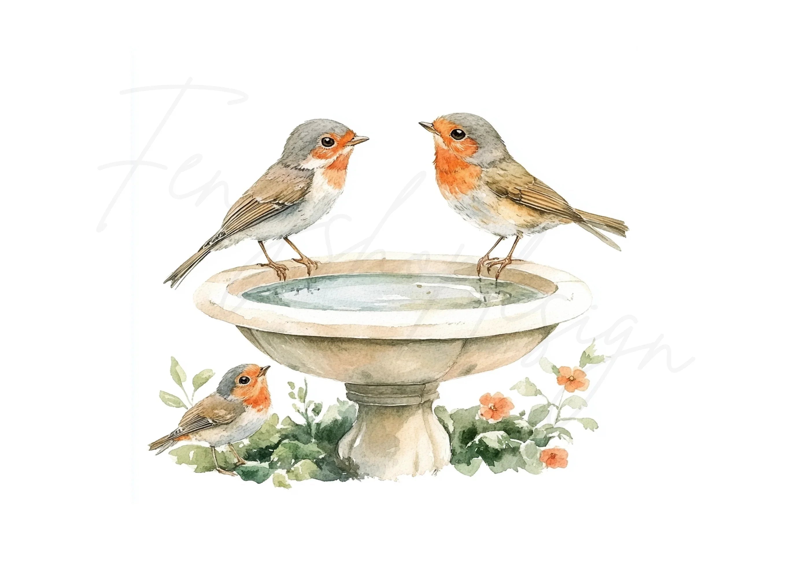 Robin Bird Bath Clipart Bundle