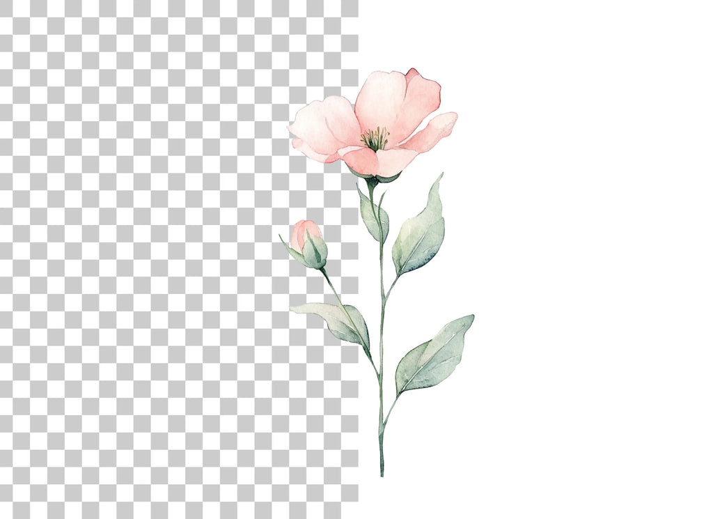 Delicate Pink Flower Clipart Bundle