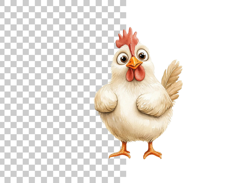 Cute White Chicken Illustration Clipart Bundle