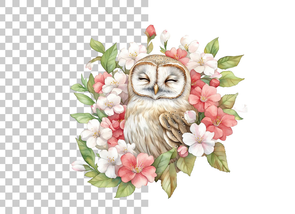 Floral Barn Owl Clipart Bundle