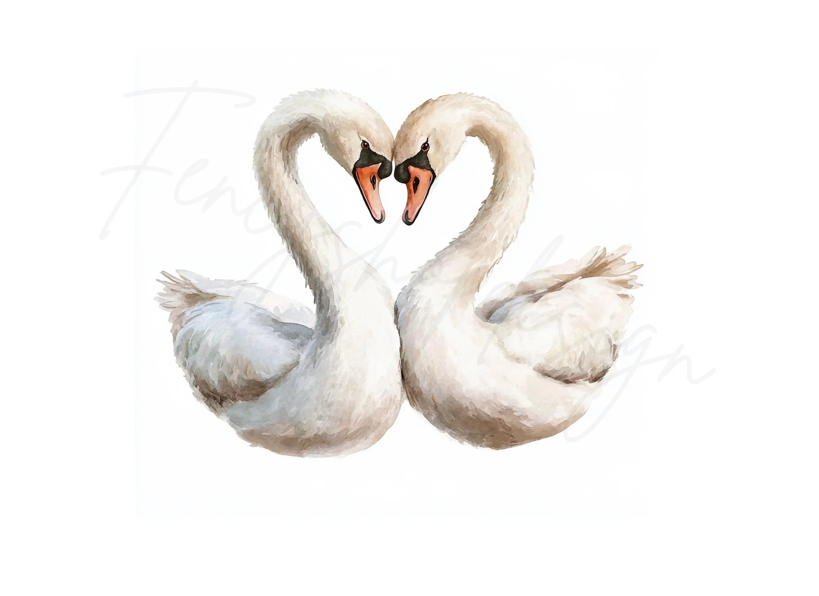 Swan Heart Clipart Bundle
