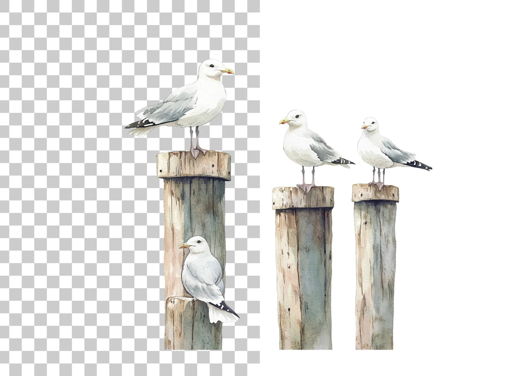 Seagulls on Pier Posts Clipart Bundle