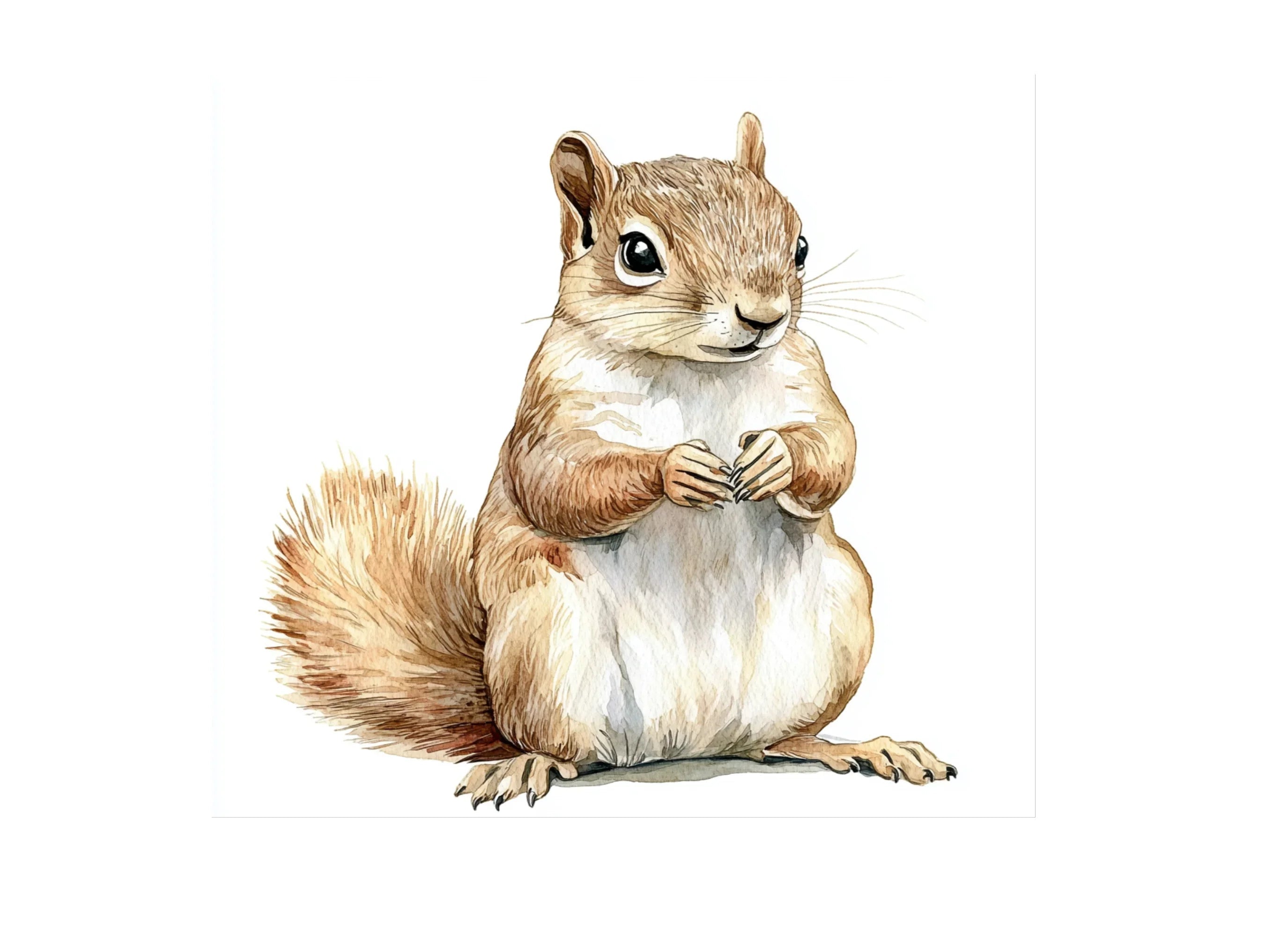 Cute Squirrel Clipart Bundle