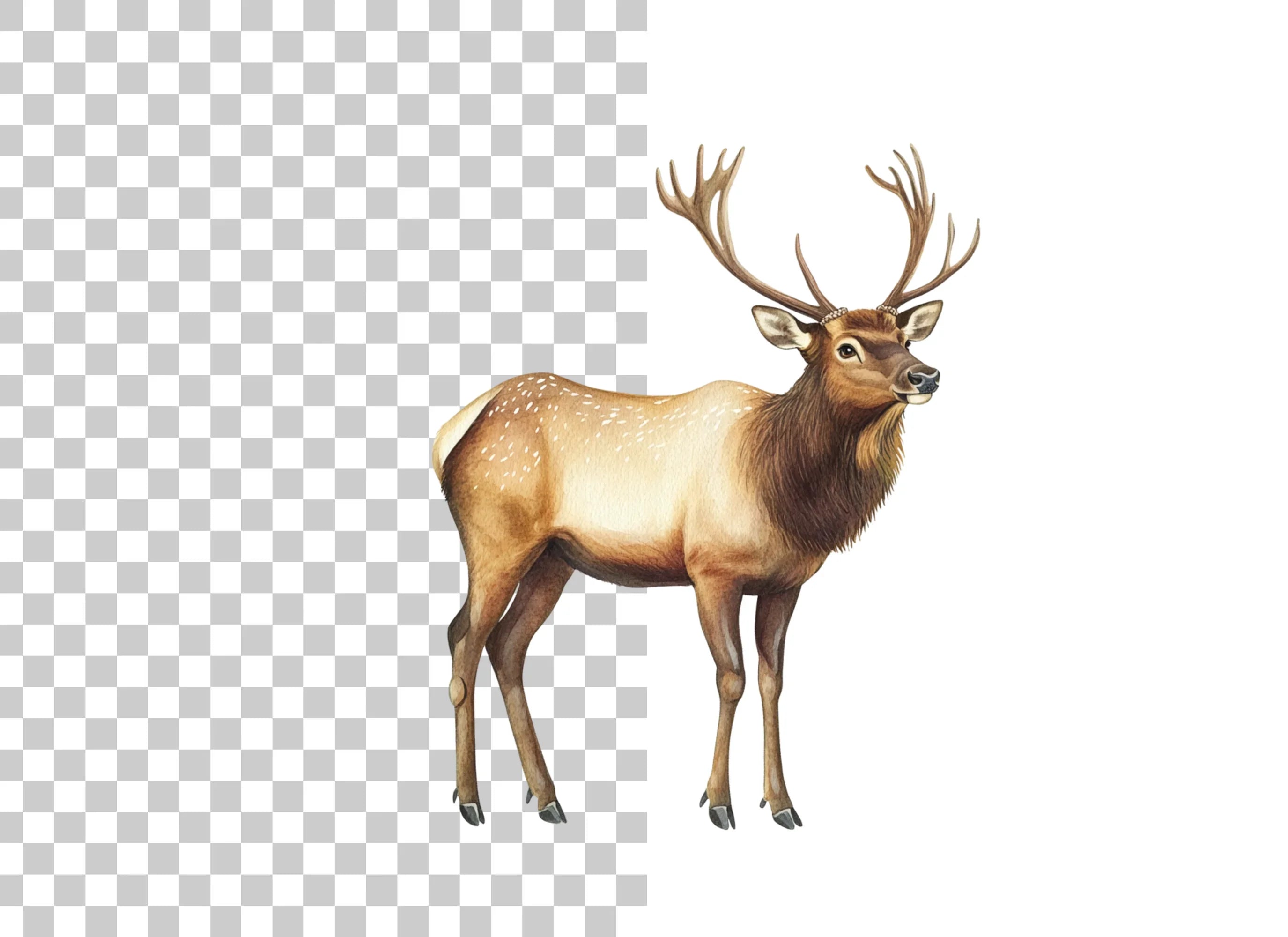 Majestic Elk Clipart Bundle