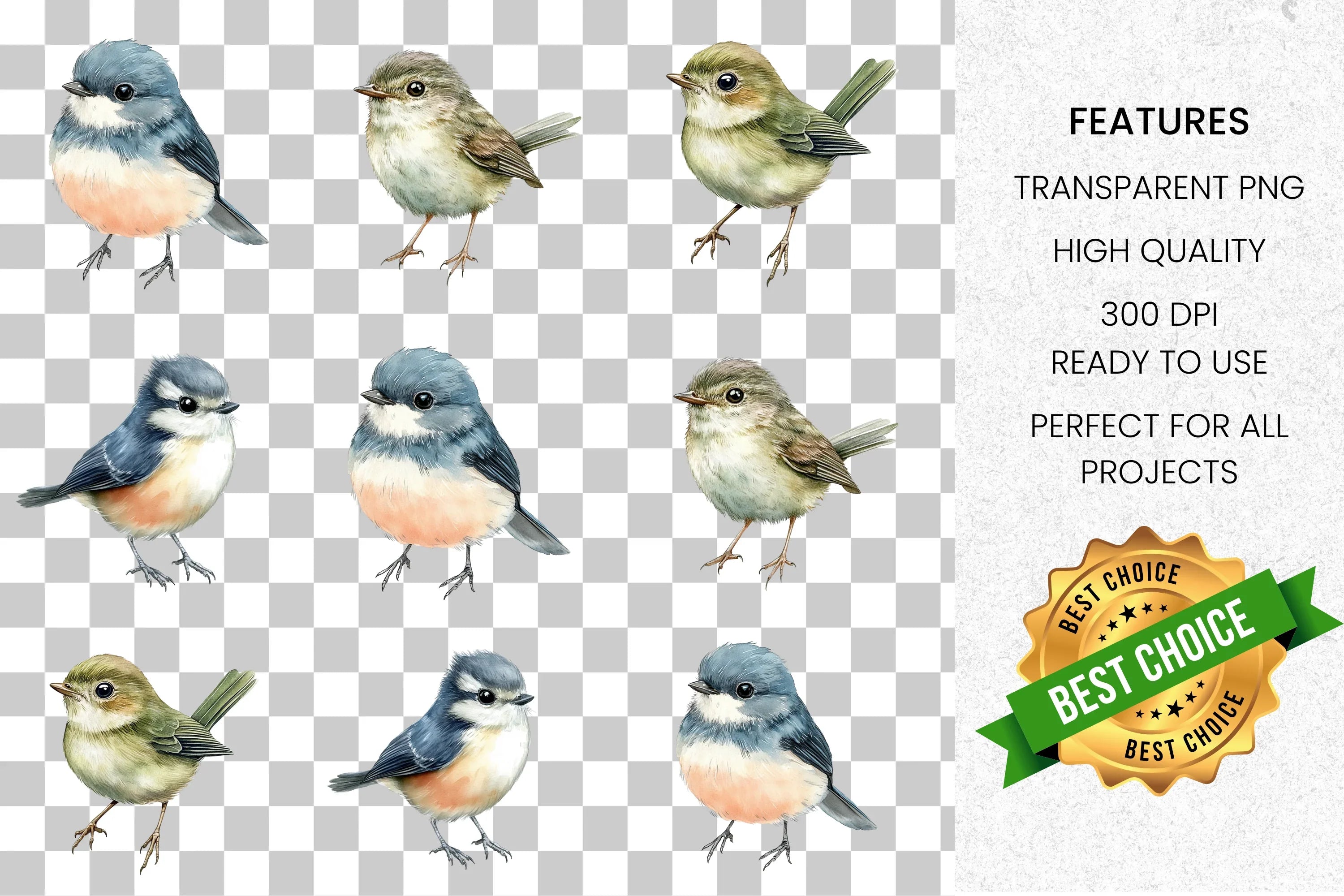 Songbirds Clipart Bundle