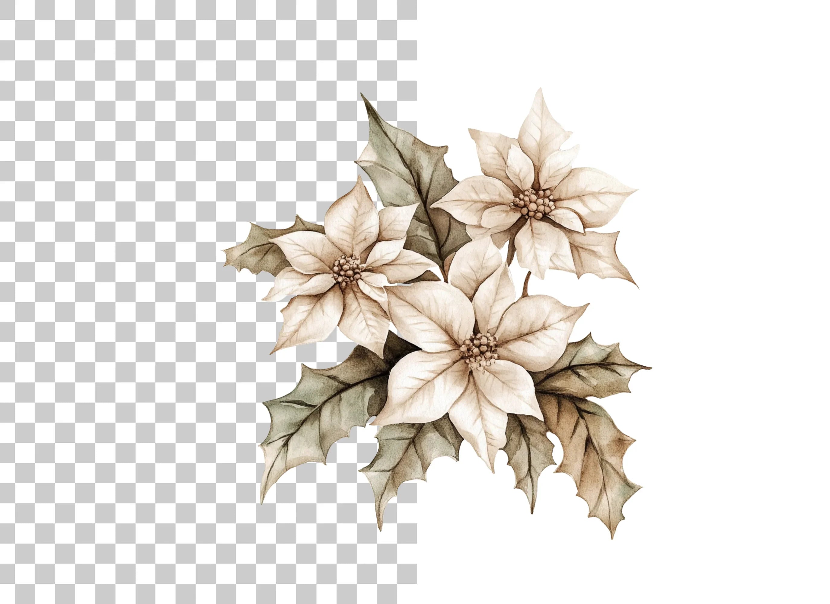 Winter White Poinsettia Clipart Bundle