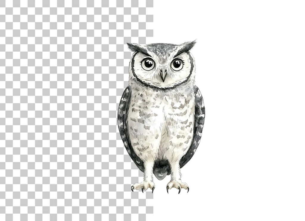 Cute Owl Clipart Bundle