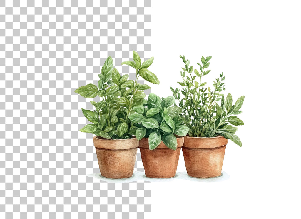Assorted Potted Herbs Clipart Bundle