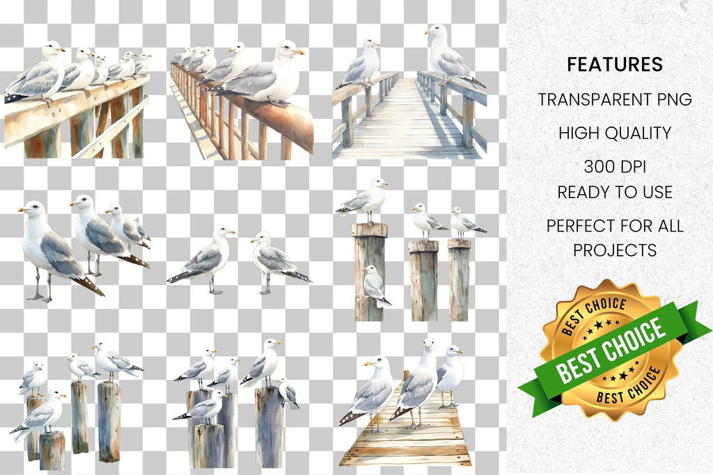 Seagull Coastal Marine Birds Clipart Bundle