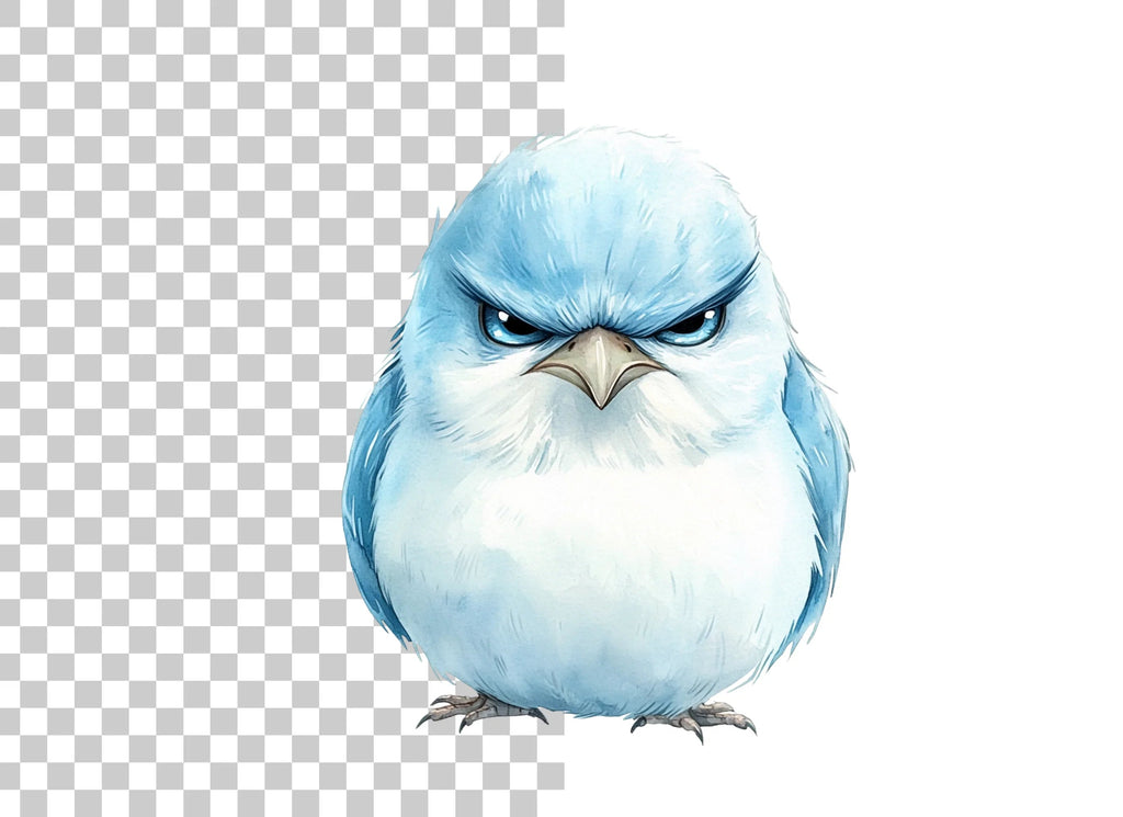 Angry Blue Bird Illustration Clipart Bundle