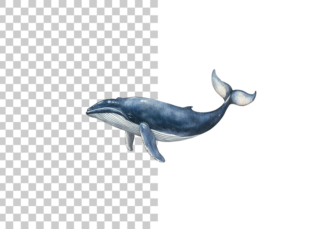 Blue Whales Clipart Bundle