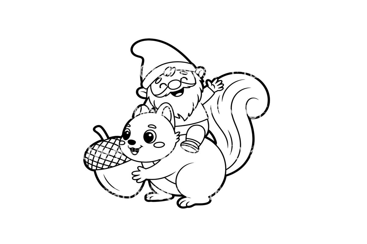 Gnome and Squirrel Friends Coloring Books