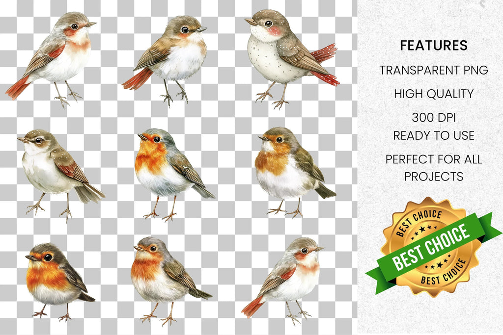Charming Bird Clipart Bundle