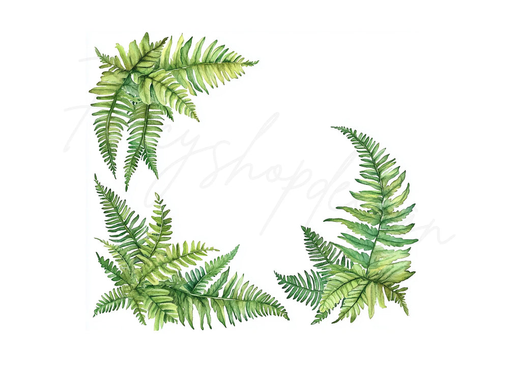 Green Fern Border Elements Clipart Bundle