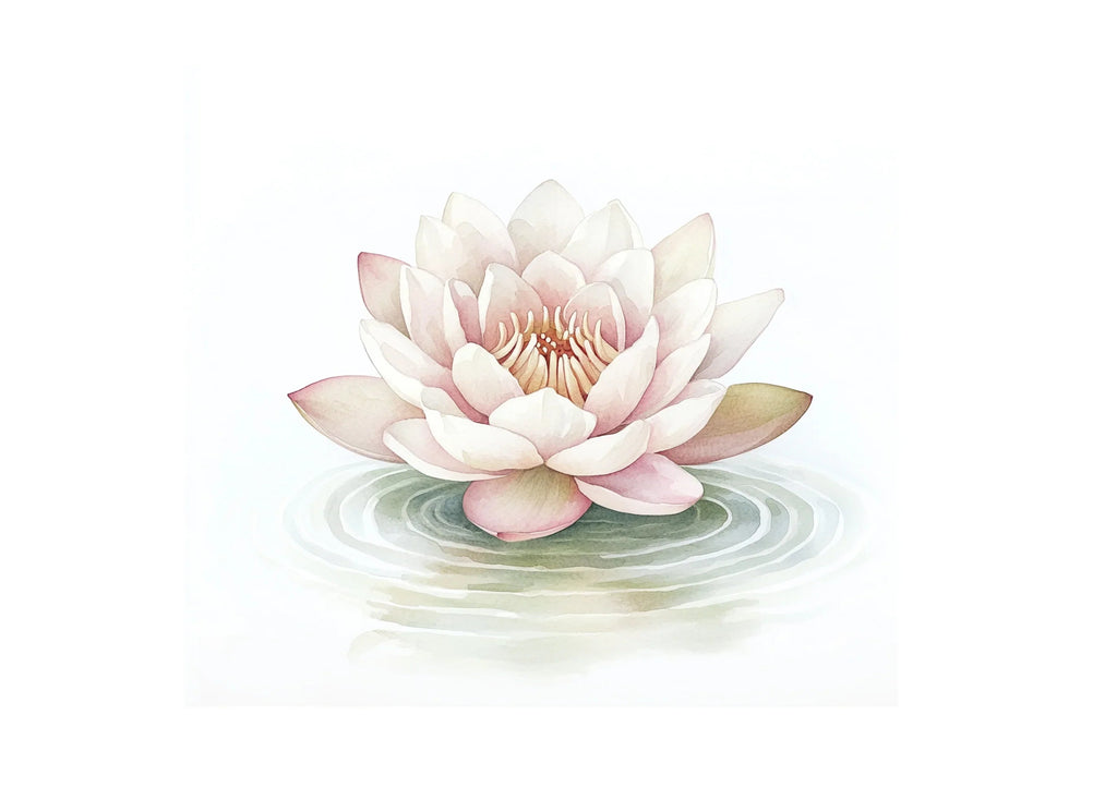 Graceful Water Lily Clipart Bundle