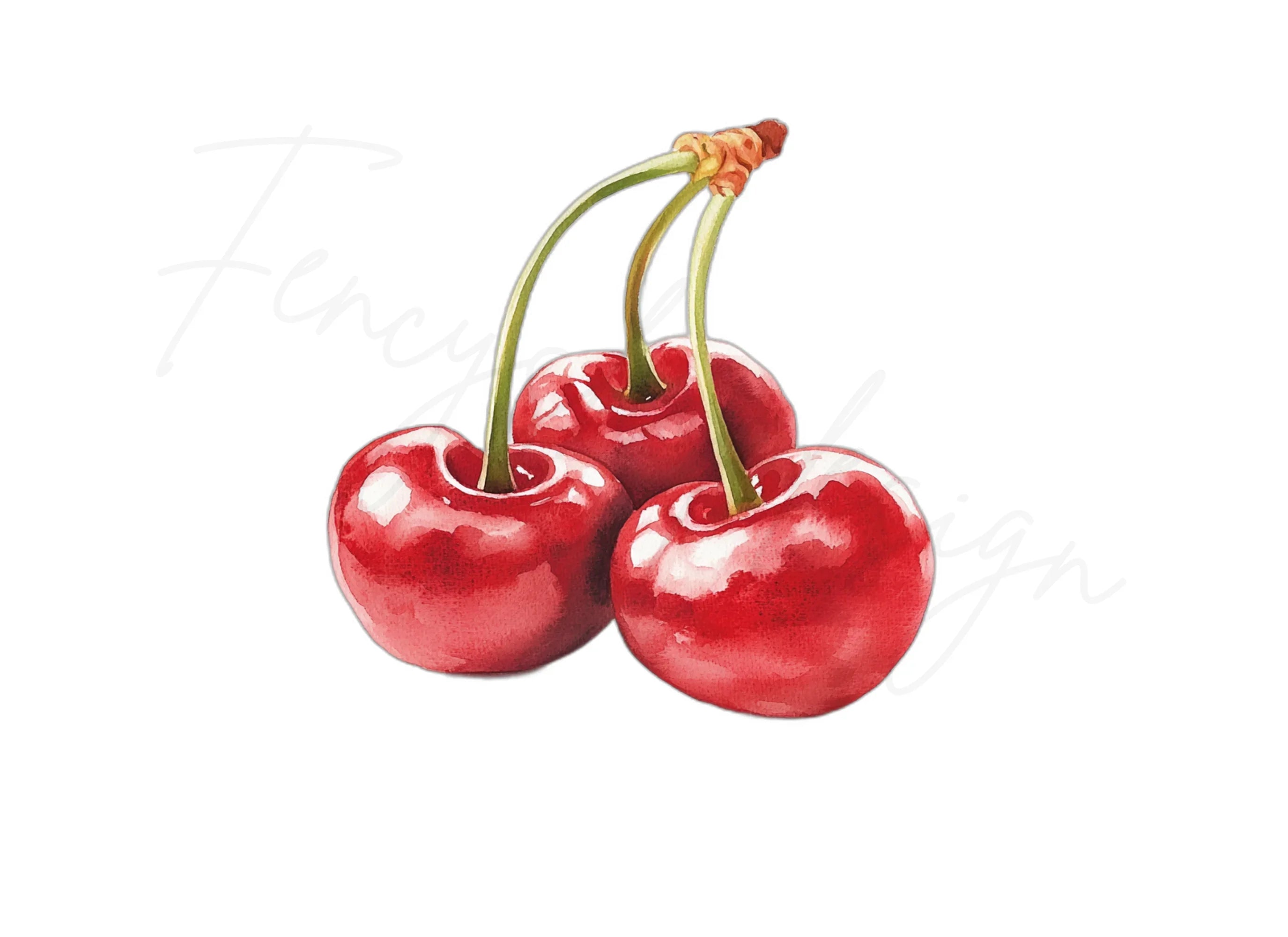 Cherry Clipart Bundle