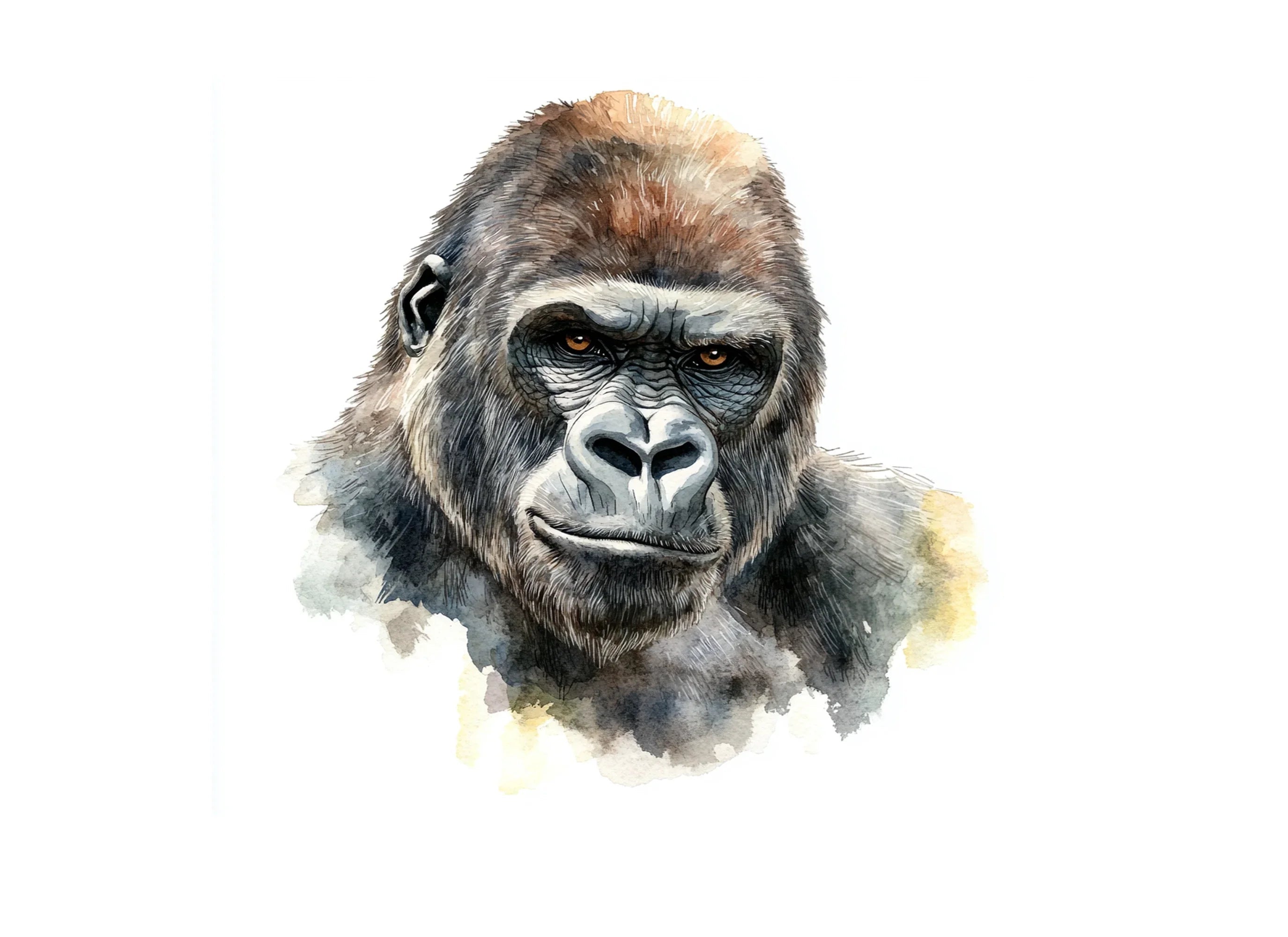 Expressive Gorilla Clipart Bundle