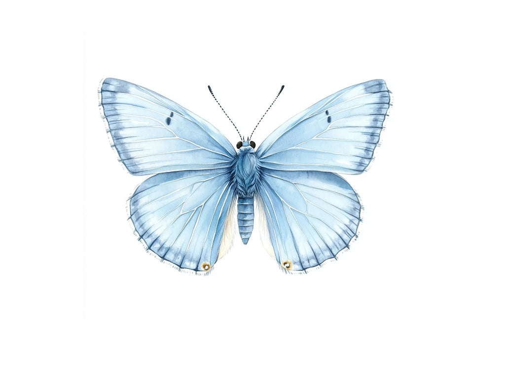 Beautiful Blue Butterfly Clipart Bundle