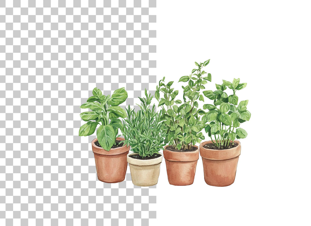 Potted Herb Garden Clipart Bundle