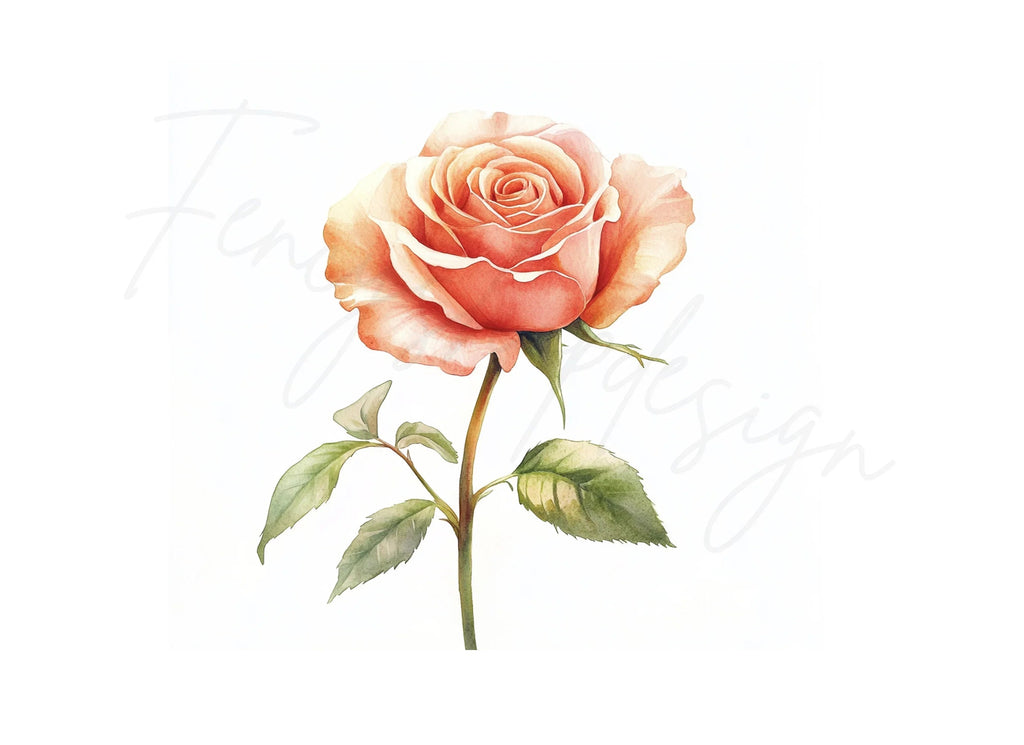 Peach Rose Clipart Bundle