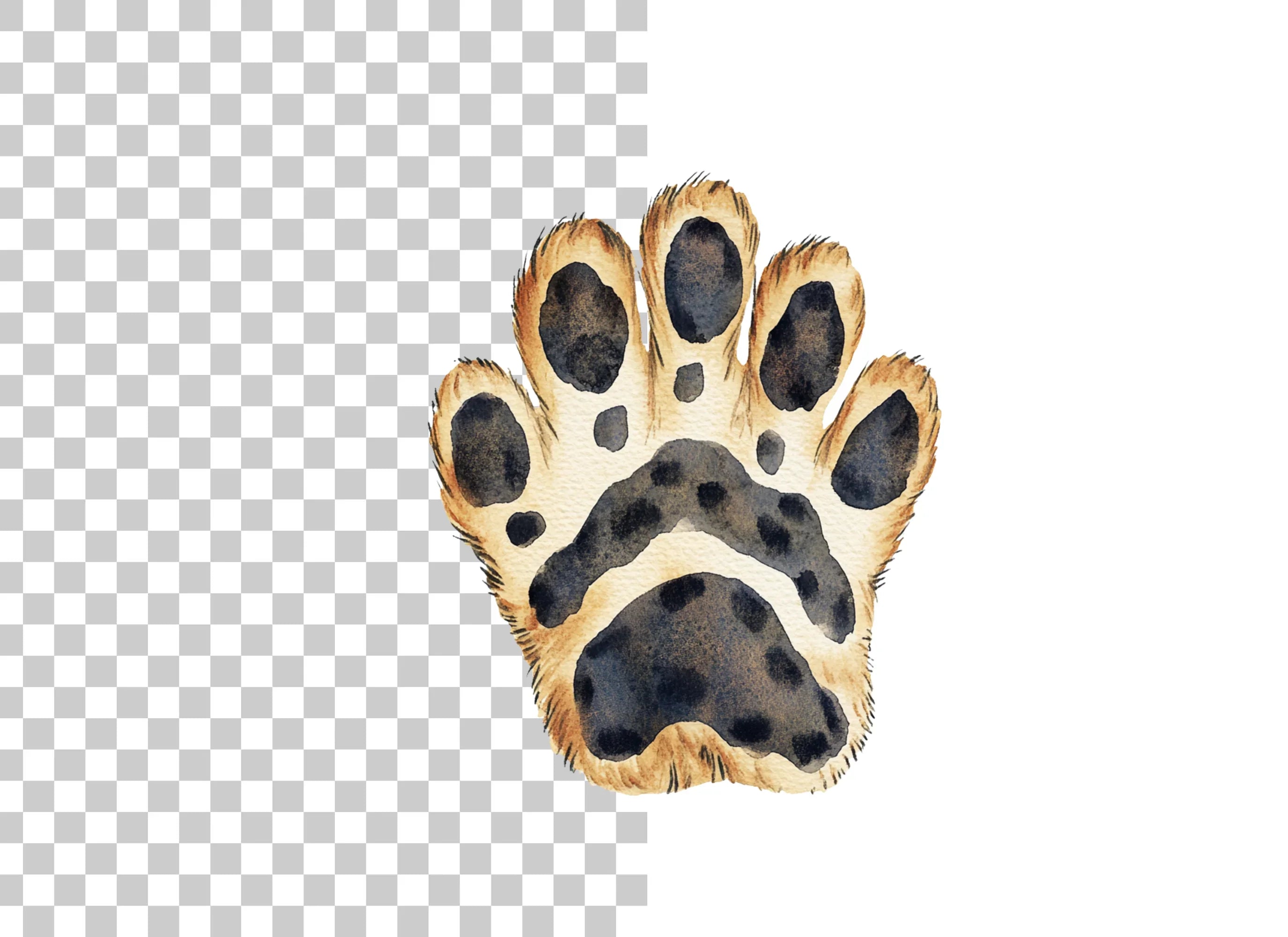 Leopard Paw Clipart Bundle