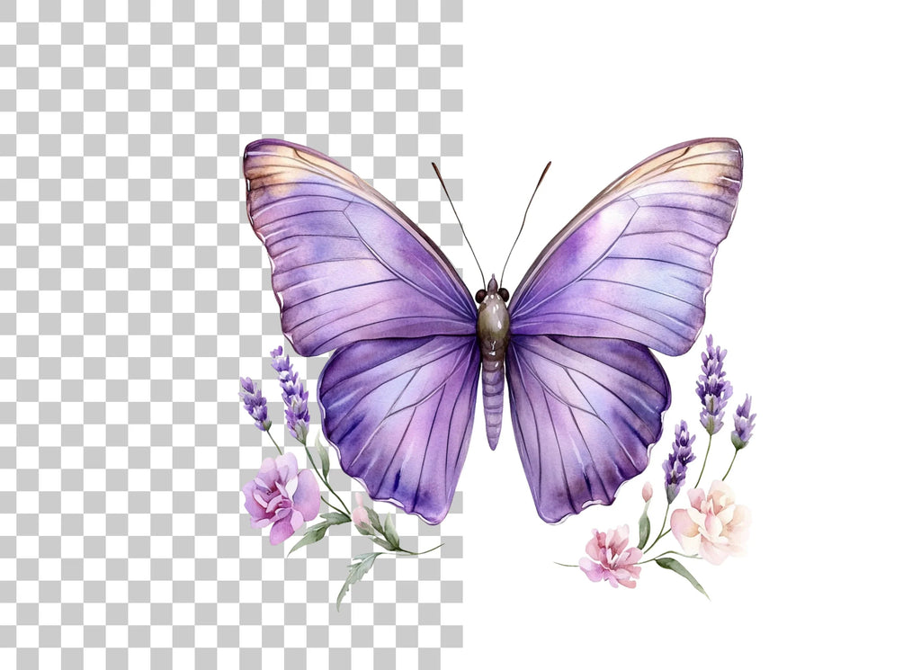 Purple Butterfly and Lavender Clipart Bundle