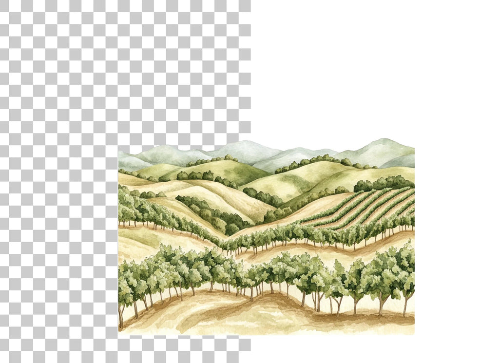Vineyard Landscape Clipart Bundle