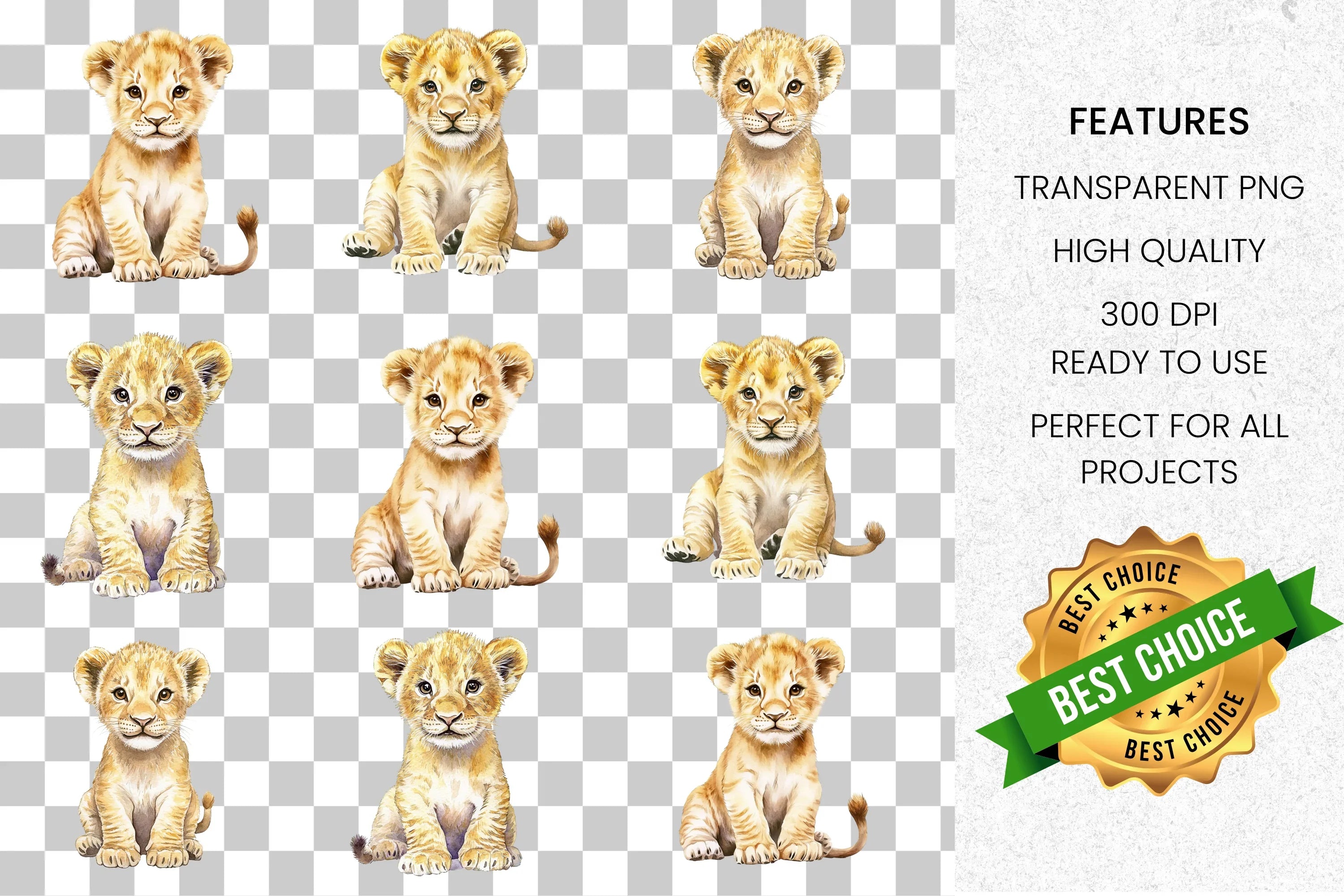Cute Baby Lion Cub Clipart Bundle
